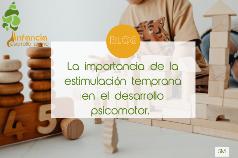 La importancia de la estimulación temprana en el desarrollo psicomotor ...