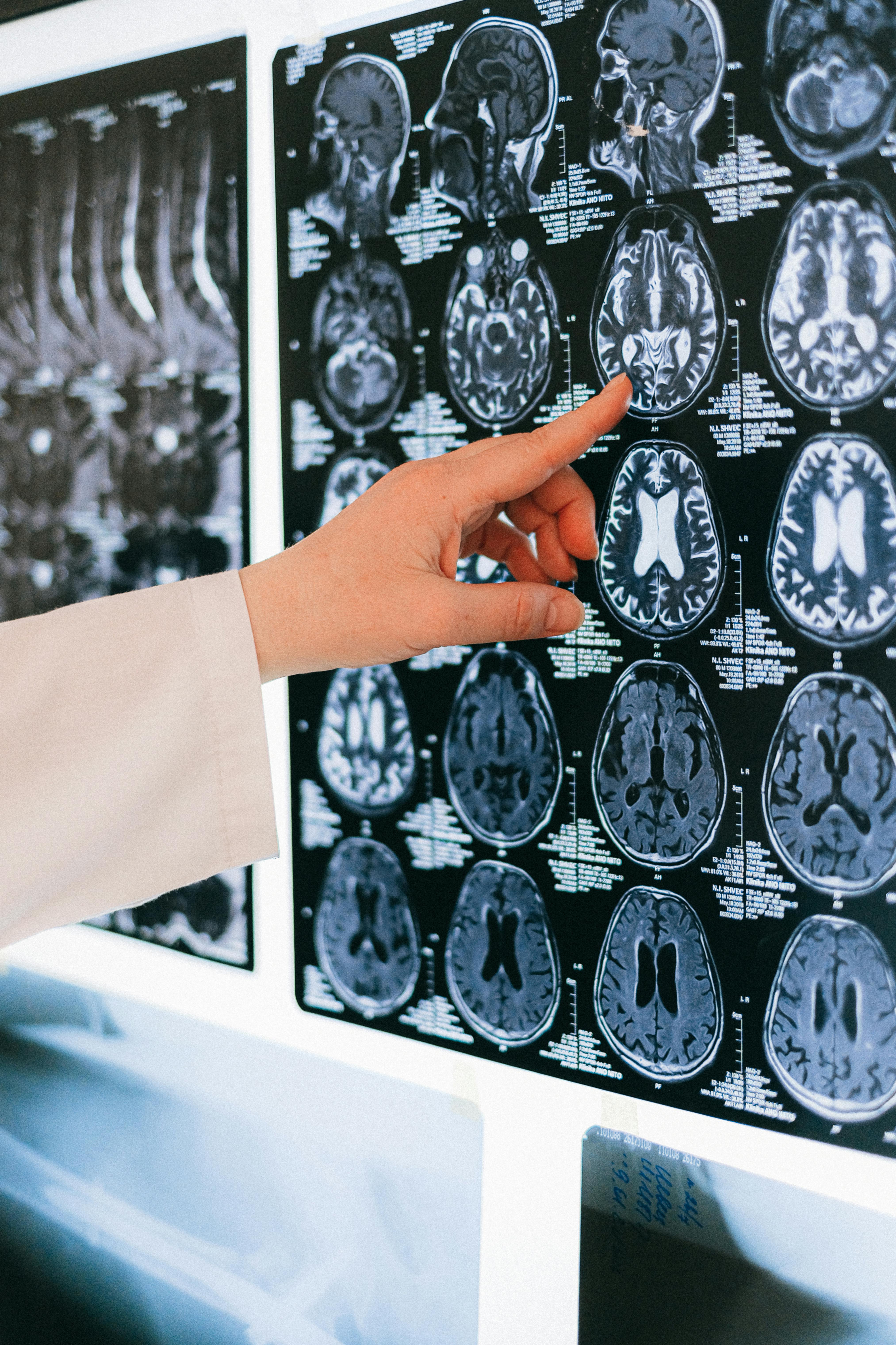 Neurociencias